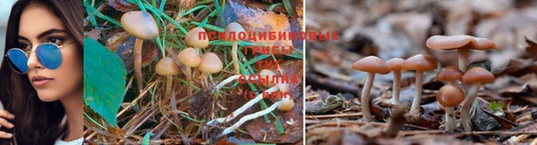 альфа пвп VHQ Каменка