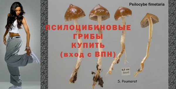дживик Инта