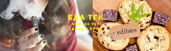 дживик Инта