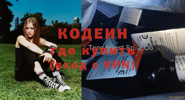 дживик Инта