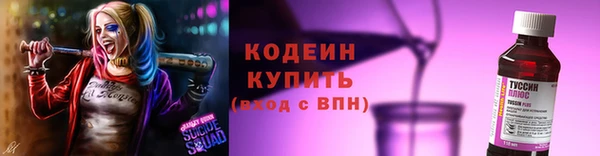 дживик Инта