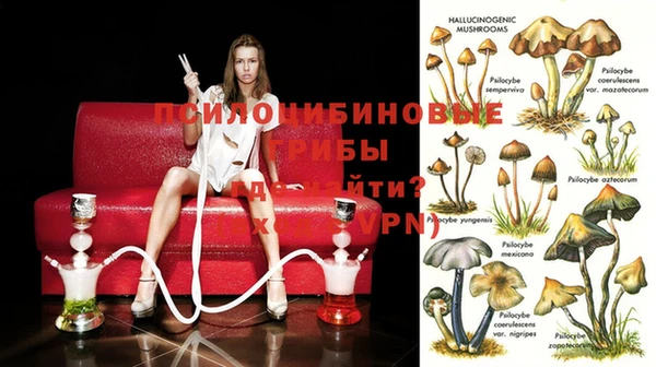 спиды Иннополис