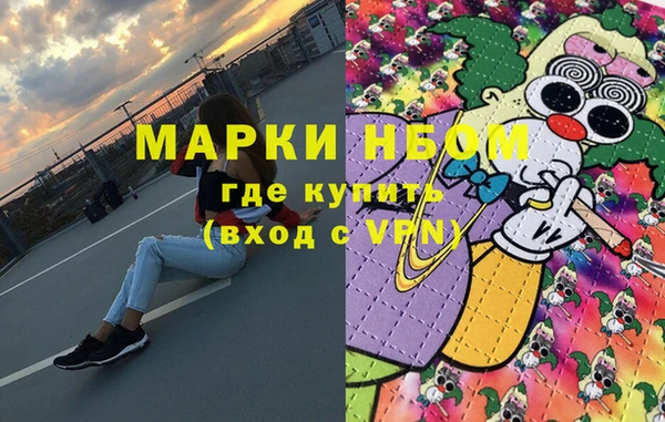 дживик Инта