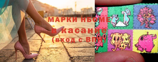 дживик Инта