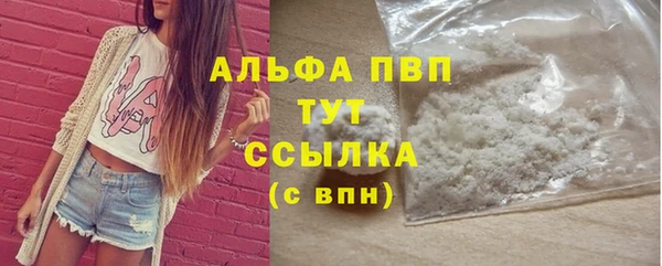 дживик Инта