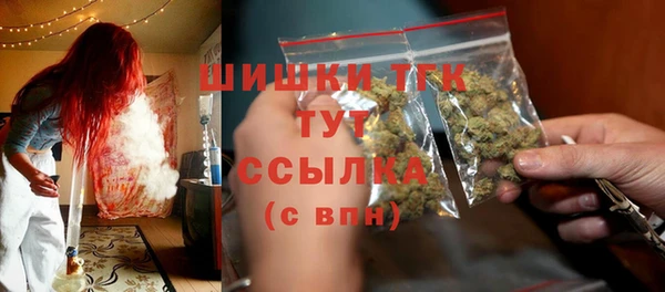 дживик Инта