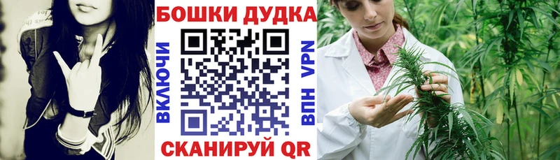 Купить где  Заинск  Канабис Amnesia 